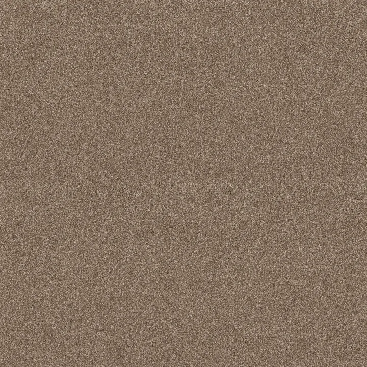 Shaw Floors Pure Comfort I — Camping Trip · 5E970-00749 — flooring selection with LeviArs Design & Remodeling