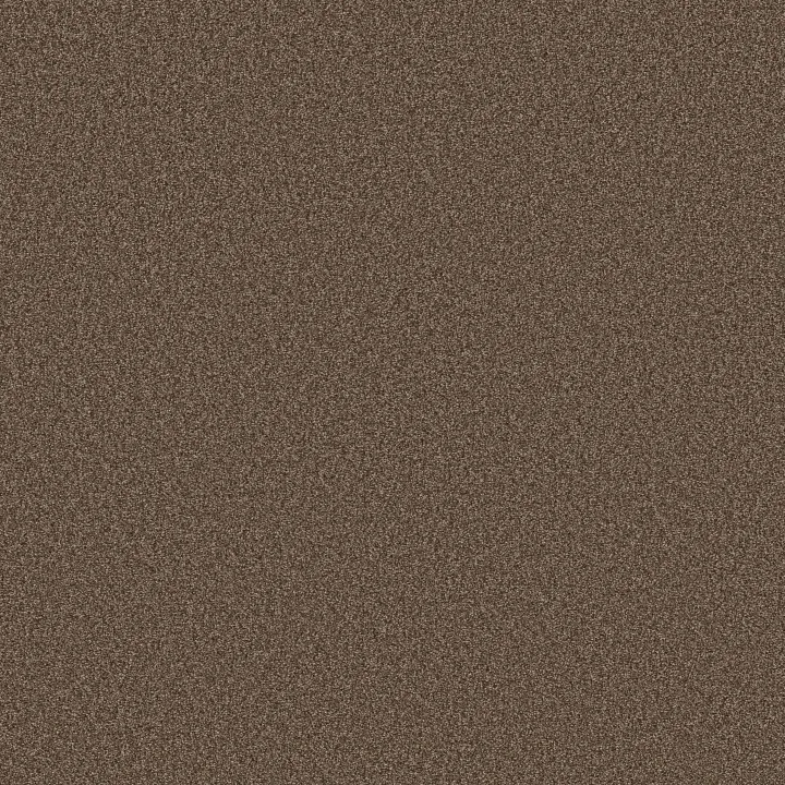 Shaw Floors Pure Comfort I — Cliff Hiking · 5E970-00714 — flooring selection with LeviArs Design & Remodeling