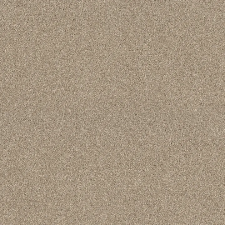 Shaw Floors Pure Comfort I — Dinner With Friends · 5E970-00732 — flooring selection with LeviArs Design & Remodeling