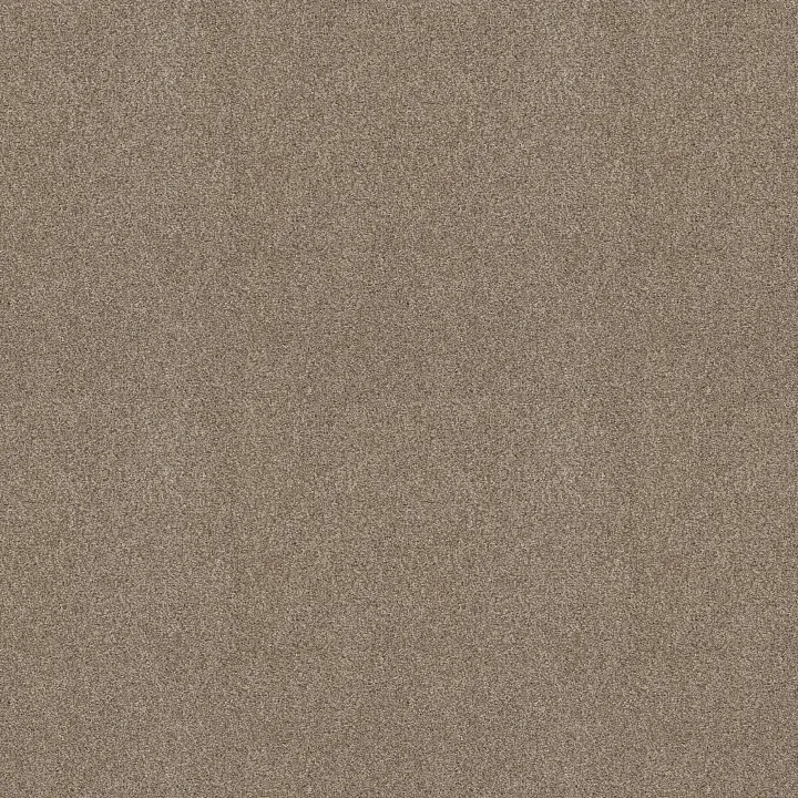 Shaw Floors Pure Comfort I — Dockside View · 5E970-00722 — flooring selection with LeviArs Design & Remodeling