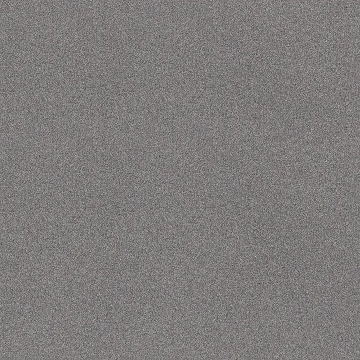 Shaw Floors Pure Comfort I — Dolphin Sighting · 5E970-00510 — flooring selection with LeviArs Design & Remodeling