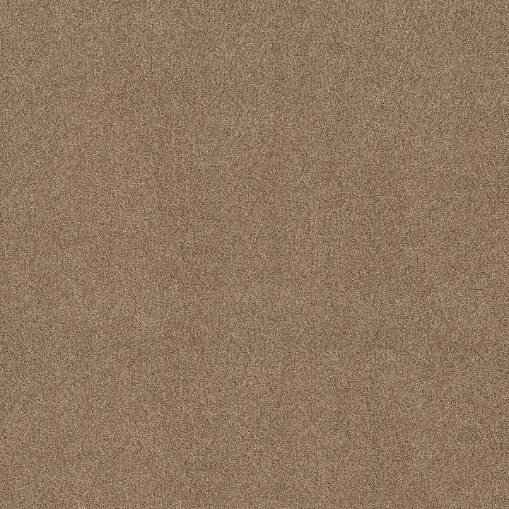 Shaw Floors Pure Comfort I — Falling Leaves · 5E970-00720 — flooring selection with LeviArs Design & Remodeling