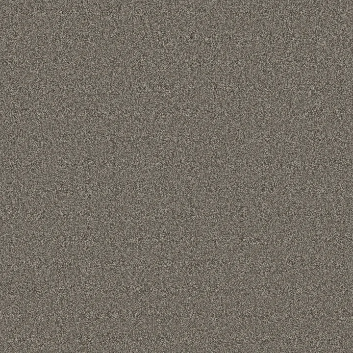 Shaw Floors Pure Comfort I — French Market · 5E970-00752 — flooring selection with LeviArs Design & Remodeling