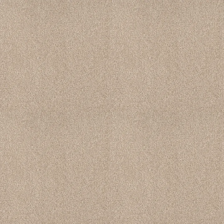 Shaw Floors Pure Comfort I — Happy Place · 5E970-00123 — flooring selection with LeviArs Design & Remodeling