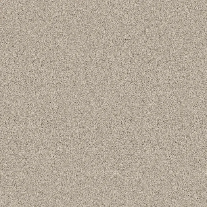 Shaw Floors Pure Comfort I — Homemade Ice Cream · 5E970-00124 — flooring selection with LeviArs Design & Remodeling