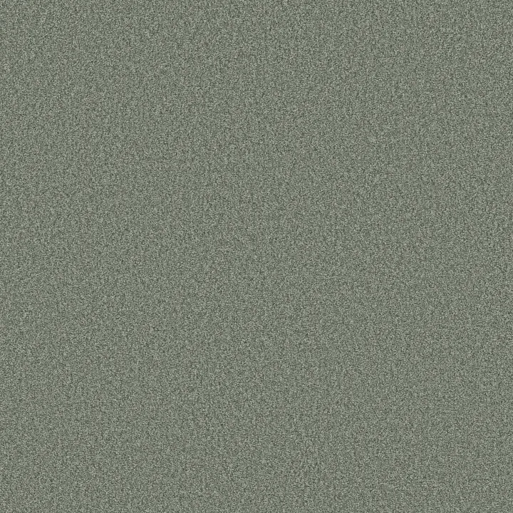 Shaw Floors Pure Comfort I — Meadow · 5E970-00328 — flooring selection with LeviArs Design & Remodeling