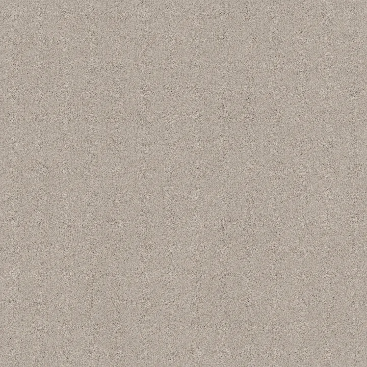 Shaw Floors Pure Comfort I — Need A Hug · 5E970-00129 — flooring selection with LeviArs Design & Remodeling