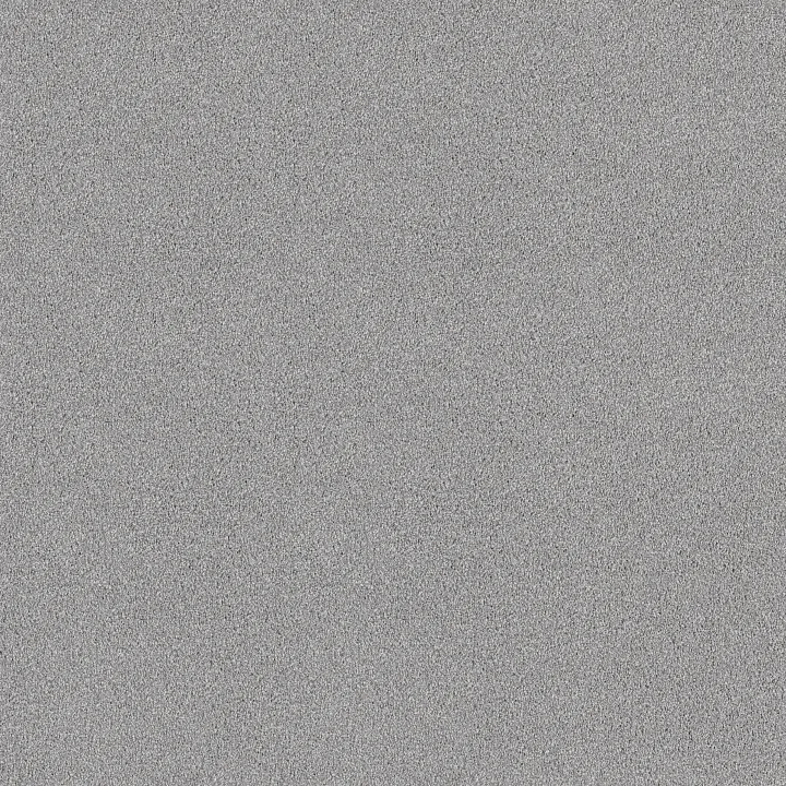Shaw Floors Pure Comfort I — Polished Silver · 5E970-00538 — flooring selection with LeviArs Design & Remodeling