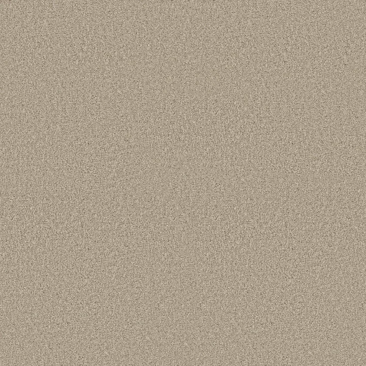 Shaw Floors Pure Comfort I — Sand Castle · 5E970-00127 — flooring selection with LeviArs Design & Remodeling