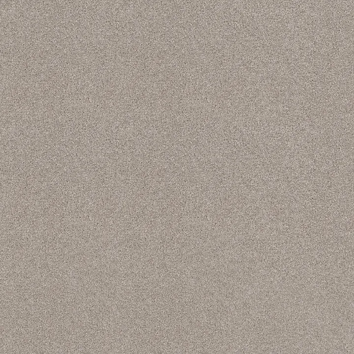 Shaw Floors Pure Comfort I — Shoreline Haze · 5E970-00128 — flooring selection with LeviArs Design & Remodeling