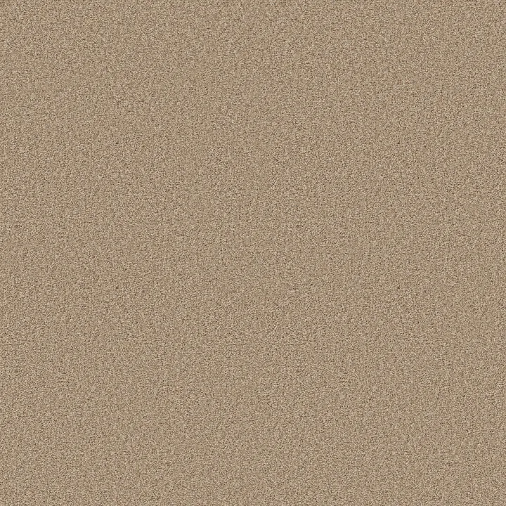 Shaw Floors Pure Comfort I — Walk On The Beach · 5E970-00721 — flooring selection with LeviArs Design & Remodeling