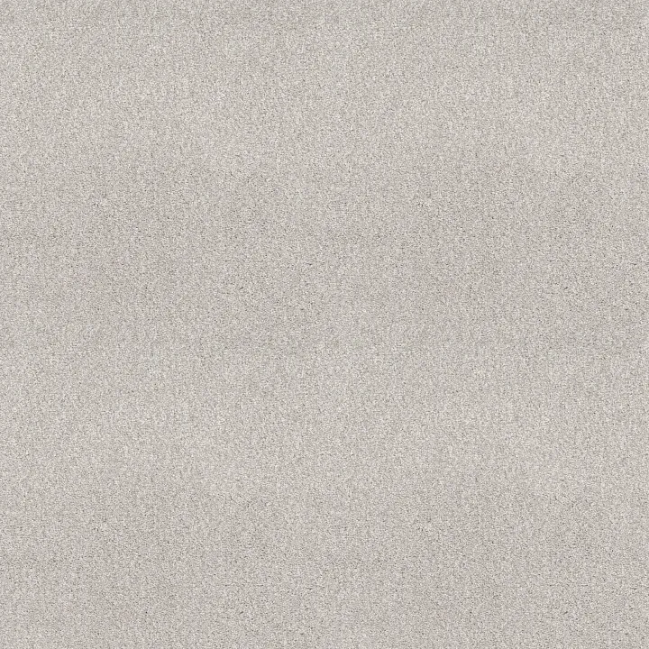 Shaw Floors Pure Comfort I — Whitewashed Frame · 5E970-00154 — flooring selection with LeviArs Design & Remodeling