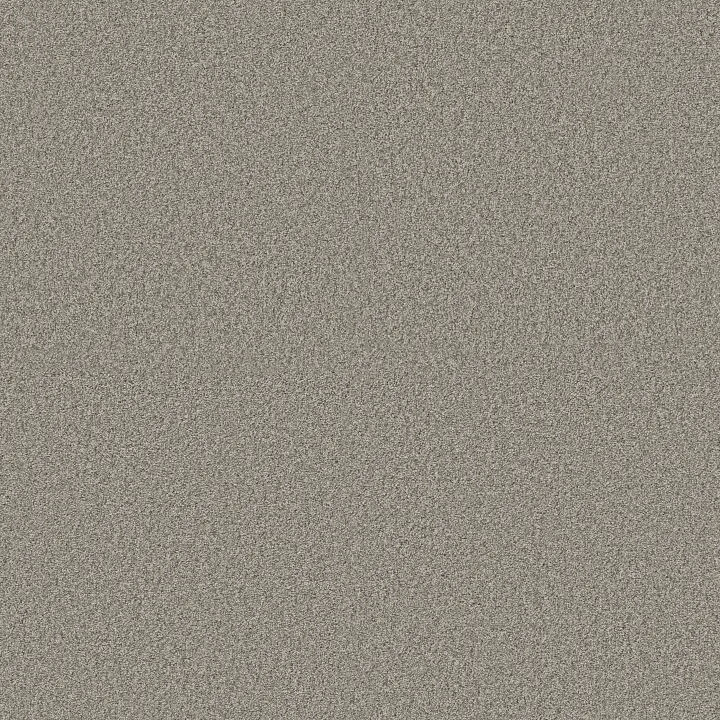 Shaw Floors Comforting II — Rustic · 5E750-00734 — flooring selection with LeviArs Design & Remodeling