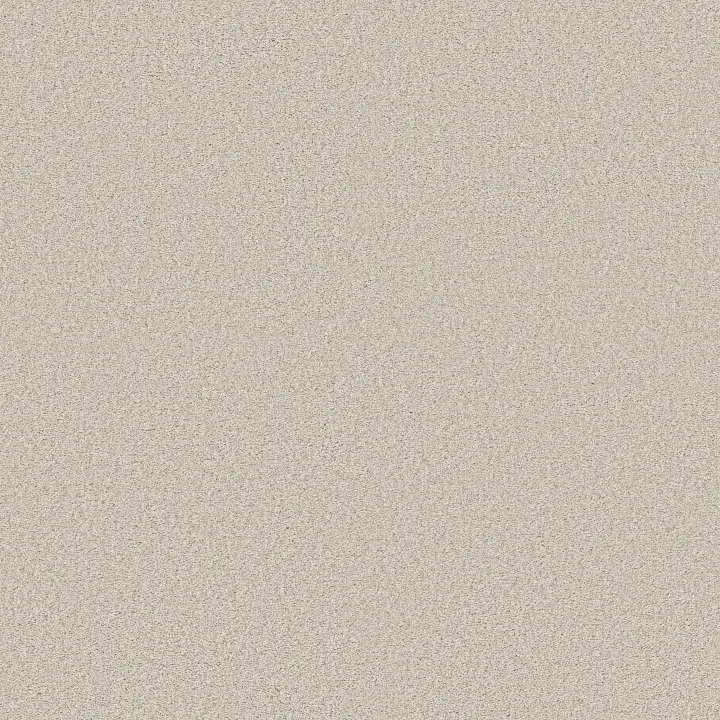 Shaw Floors Find your comfort II - Tonal — Champagne Toast · EA818-153T — flooring selection with LeviArs Design & Remodeling
