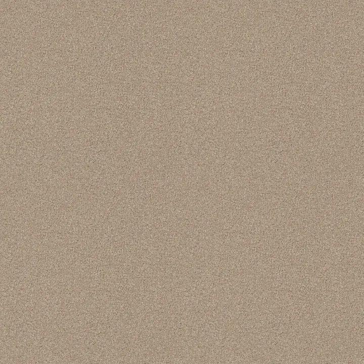 Shaw Floors Comforting II — Wild Rice · 5E750-00742 — flooring selection with LeviArs Design & Remodeling