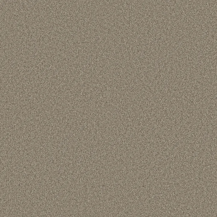 Shaw Floors Comforting II — Boardwalk · 5E750-00732 — flooring selection with LeviArs Design & Remodeling
