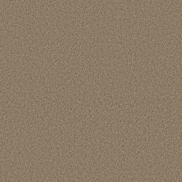 Shaw Floors Comforting II — Studio · 5E750-00730 — flooring selection with LeviArs Design & Remodeling