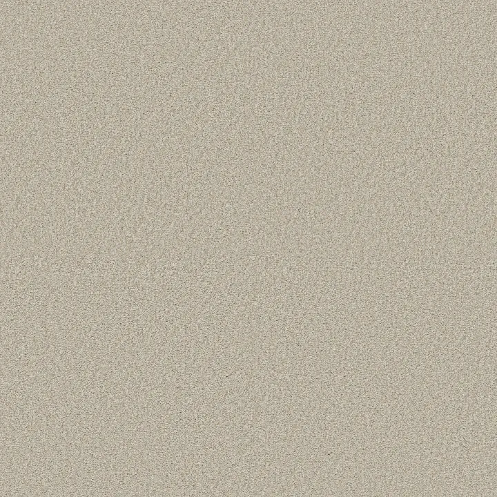 Shaw Floors Comforting II — Parchment · 5E750-00144 — flooring selection with LeviArs Design & Remodeling