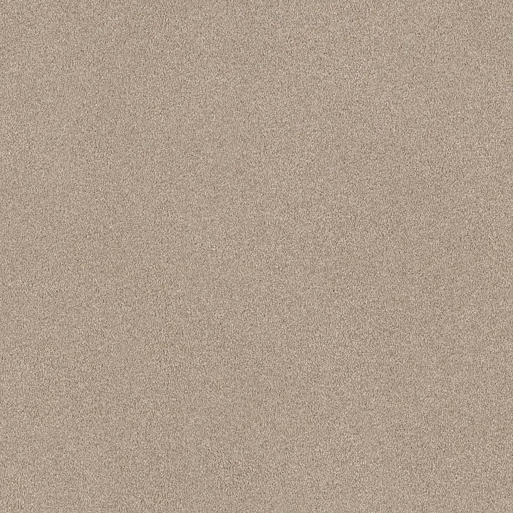 Shaw Floors Comforting II — Shadow · 5E750-00753 — flooring selection with LeviArs Design & Remodeling