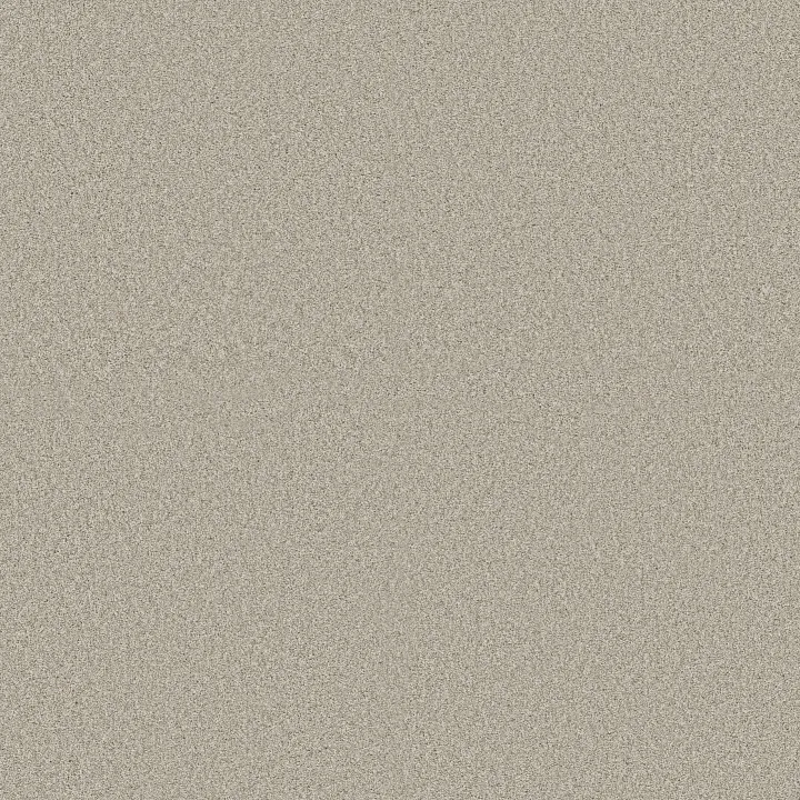Shaw Floors Comforting II — Dainty Lace · 5E750-00149 — flooring selection with LeviArs Design & Remodeling