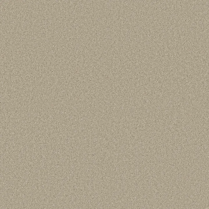 Shaw Floors Comforting II — Chamois · 5E750-00147 — flooring selection with LeviArs Design & Remodeling