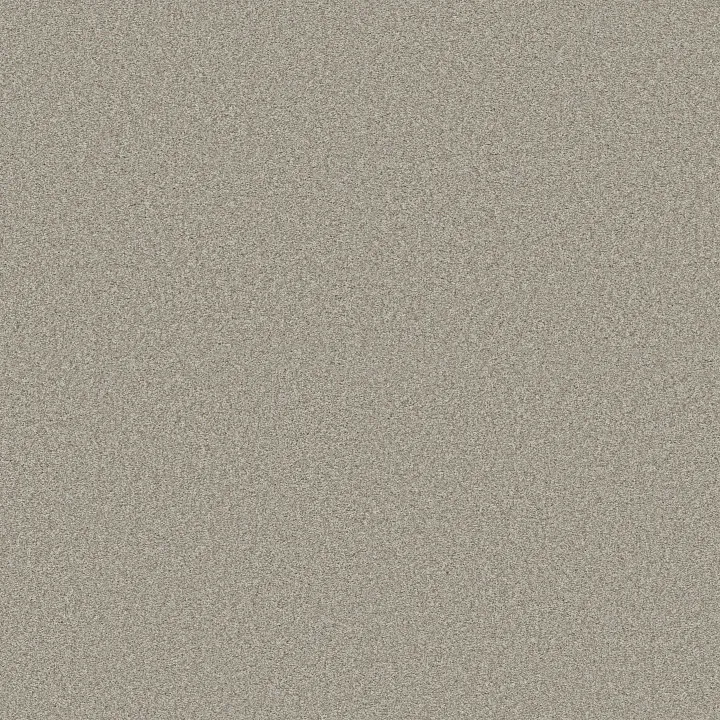 Shaw Floors Comforting II — Anonymous · 5E750-00148 — flooring selection with LeviArs Design & Remodeling