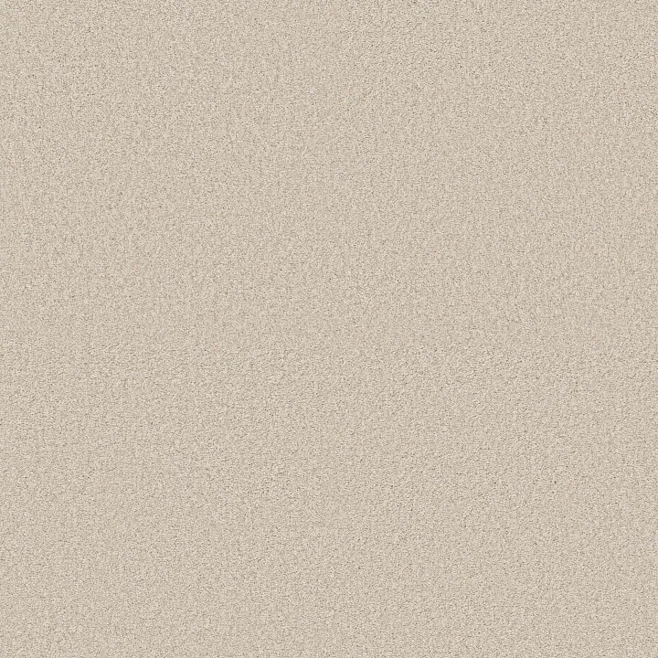 Shaw Floors Find your comfort II - Tonal — Vintage Quilt ( · EA818-121T — flooring selection with LeviArs Design & Remodeling