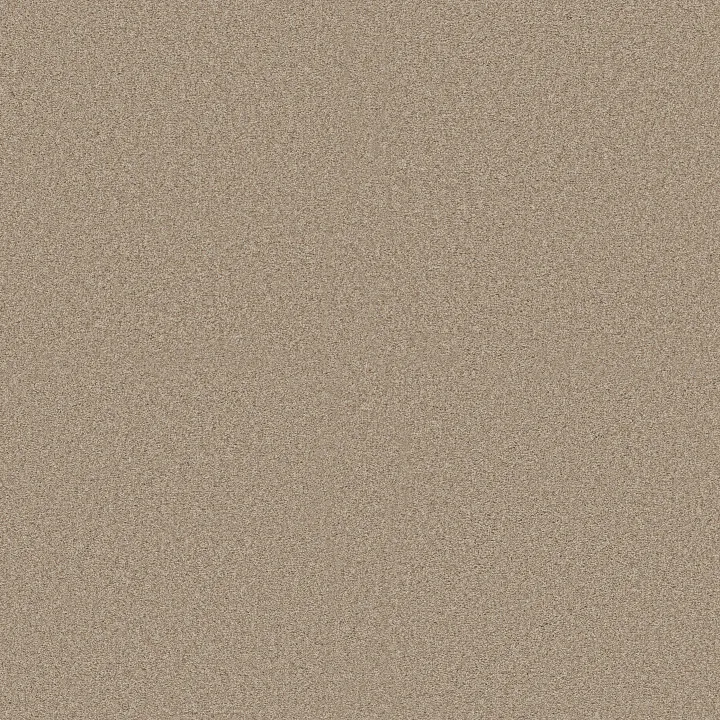 Shaw Floors Comforting II — Picket Fence · 5E750-00731 — flooring selection with LeviArs Design & Remodeling