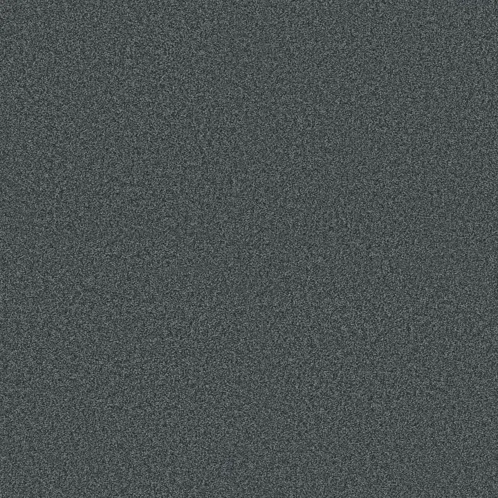 Shaw Floors Comforting II — Extreme · 5E750-00450 — flooring selection with LeviArs Design & Remodeling