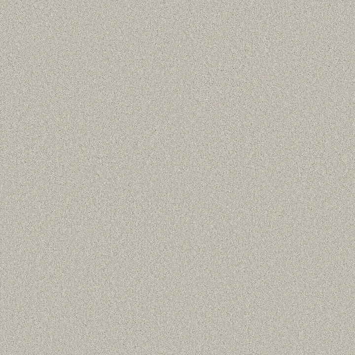 Shaw Floors Comforting II — Thin Ice · 5E750-00164 — flooring selection with LeviArs Design & Remodeling