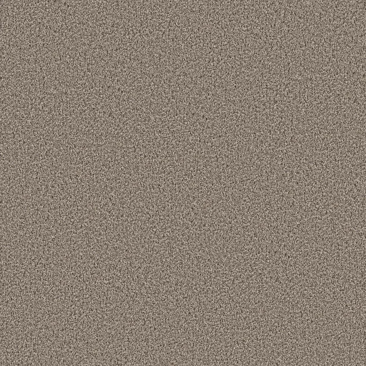 Shaw Floors Ramped Up — Azure Skies · 5E948-00130 — flooring selection with LeviArs Design & Remodeling