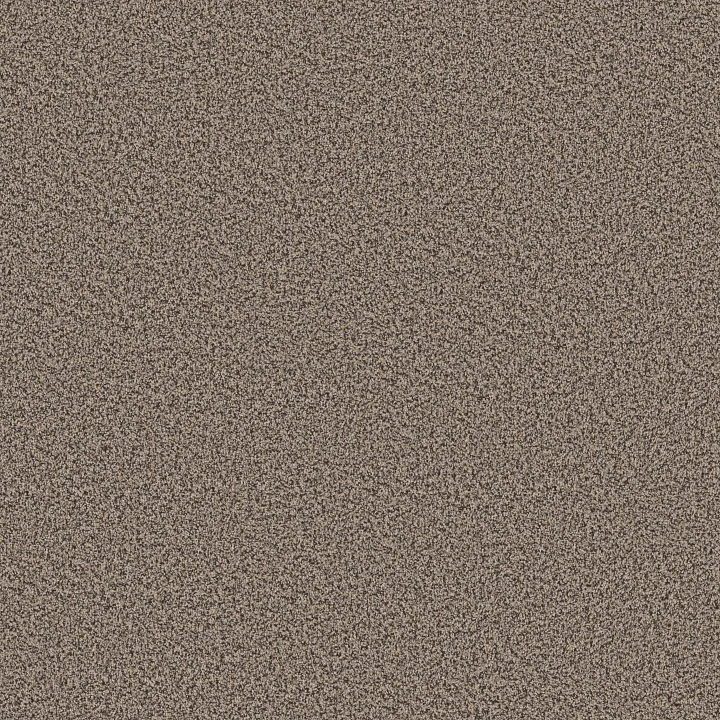 Shaw Floors Ramped Up — Beachside · 5E948-00230 — flooring selection with LeviArs Design & Remodeling