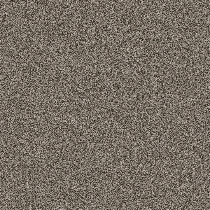 Shaw Floors Ramped Up — Canyon · 5E948-00132 — flooring selection with LeviArs Design & Remodeling