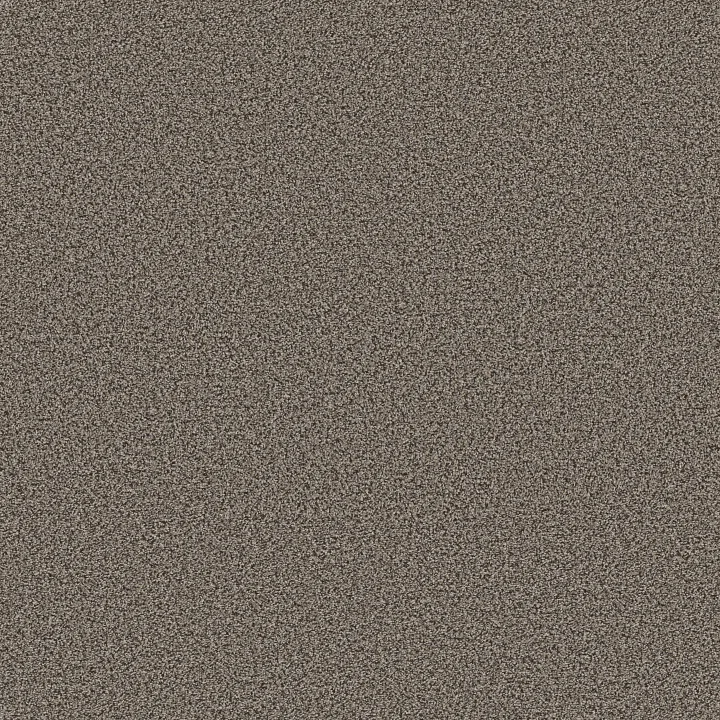 Shaw Floors Ramped Up — Mountainside · 5E948-00720 — flooring selection with LeviArs Design & Remodeling