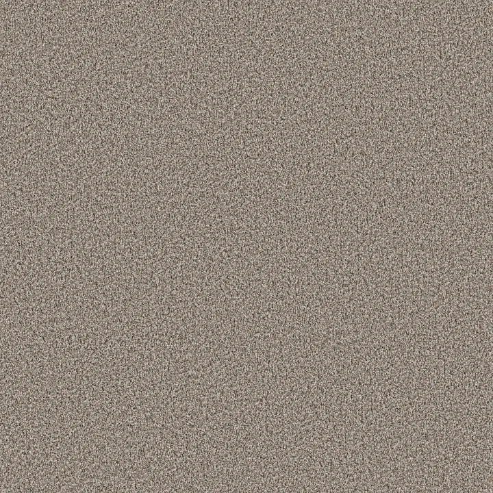 Shaw Floors Ramped Up — Natural Stone · 5E948-00100 — flooring selection with LeviArs Design & Remodeling