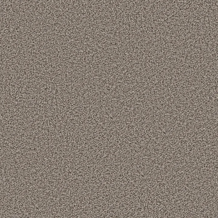 Shaw Floors Ramped Up — Pebble Creek · 5E948-00110 — flooring selection with LeviArs Design & Remodeling
