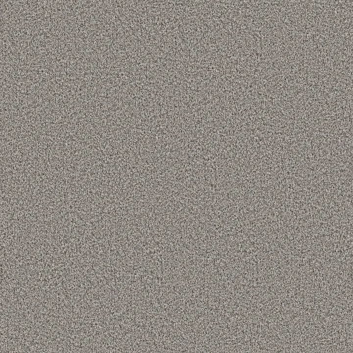 Shaw Floors Ramped Up — Platinum Waters · 5E948-00500 — flooring selection with LeviArs Design & Remodeling