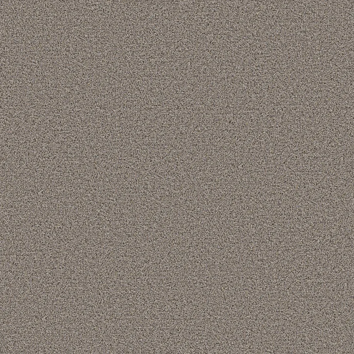 Shaw Floors Ramped Up — Ridgeview · 5E948-00120 — flooring selection with LeviArs Design & Remodeling