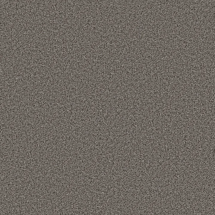 Shaw Floors Ramped Up — Shadow · 5E948-00530 — flooring selection with LeviArs Design & Remodeling
