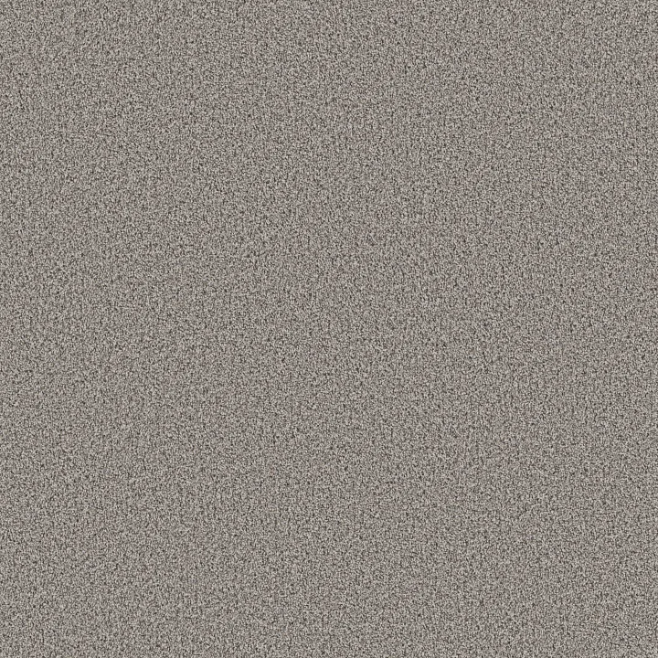 Shaw Floors Ramped Up — Slate · 5E948-00510 — flooring selection with LeviArs Design & Remodeling