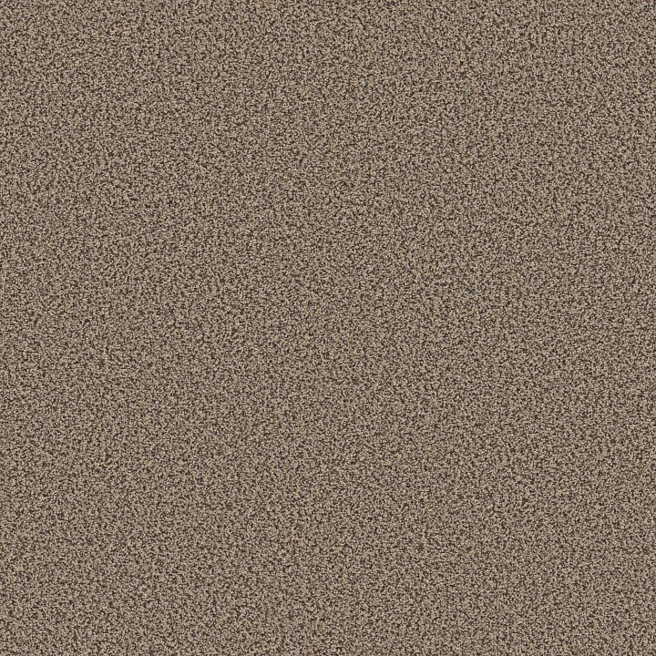 Shaw Floors Ramped Up — Warm Sunrise · 5E948-00220 — flooring selection with LeviArs Design & Remodeling