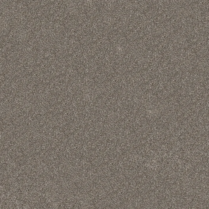 Shaw Floors Refined Beauty — Coffee · 5E888-00701 — flooring selection with LeviArs Design & Remodeling