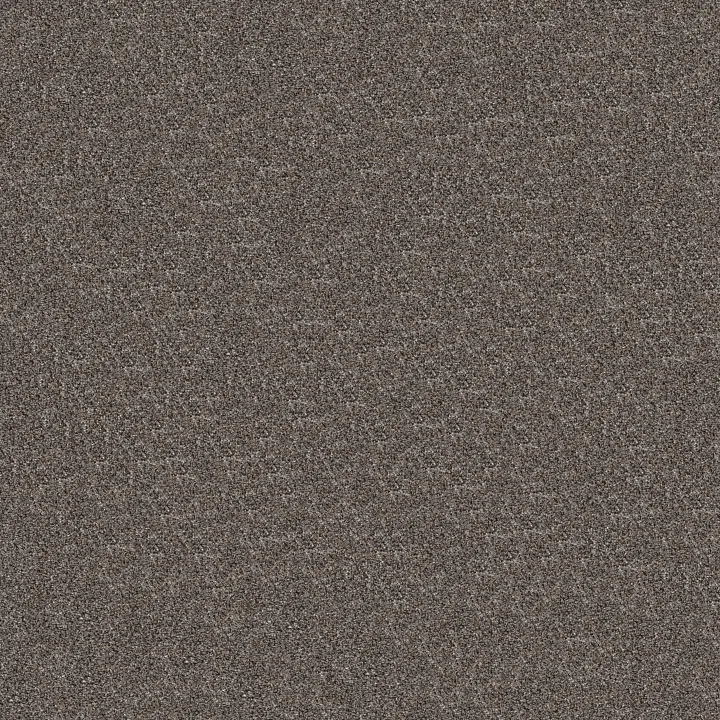 Shaw Floors Refined Beauty — Flint · 5E888-00503 — flooring selection with LeviArs Design & Remodeling