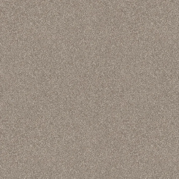 Shaw Floors Refined Beauty — Mushroom · 5E888-00108 — flooring selection with LeviArs Design & Remodeling