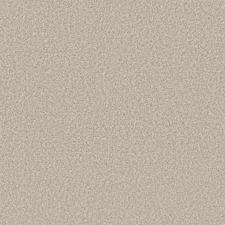 Shaw Floors Refined Beauty — Nuance · 5E888-00111 — flooring selection with LeviArs Design & Remodeling