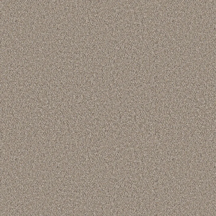 Shaw Floors Refined Beauty — Nutria · 5E888-00109 — flooring selection with LeviArs Design & Remodeling