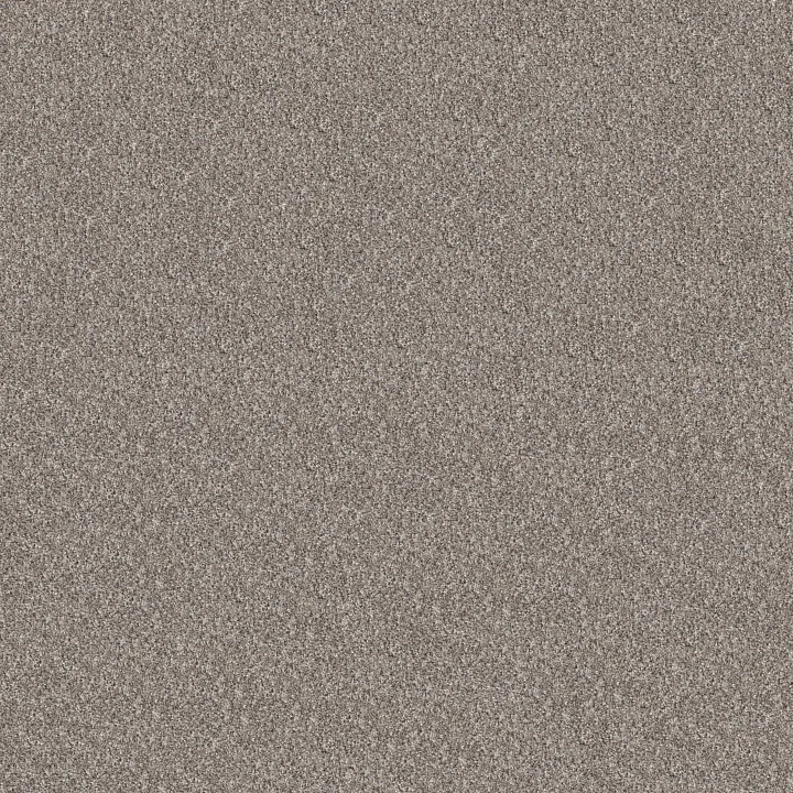 Shaw Floors Refined Beauty — Perfection · 5E888-00105 — flooring selection with LeviArs Design & Remodeling