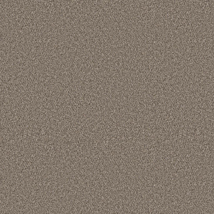 Shaw Floors Refined Beauty — Prairie · 5E888-00702 — flooring selection with LeviArs Design & Remodeling