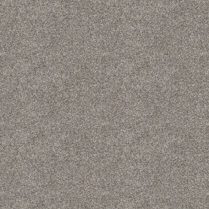 Shaw Floors Refined Beauty — River Rock · 5E888-00500 — flooring selection with LeviArs Design & Remodeling