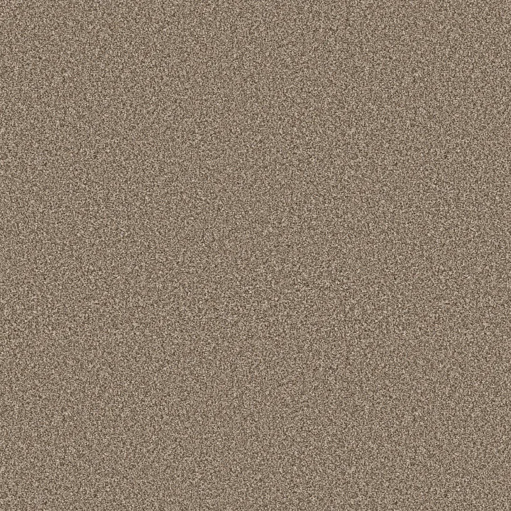 Shaw Floors Refined Beauty — Rodeo · 5E888-00704 — flooring selection with LeviArs Design & Remodeling
